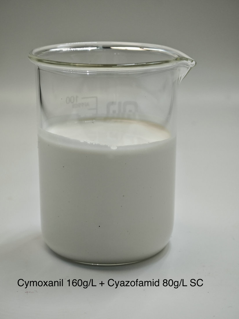 Cymoxanil 160g/L + Cyazofamid 80g/L SC